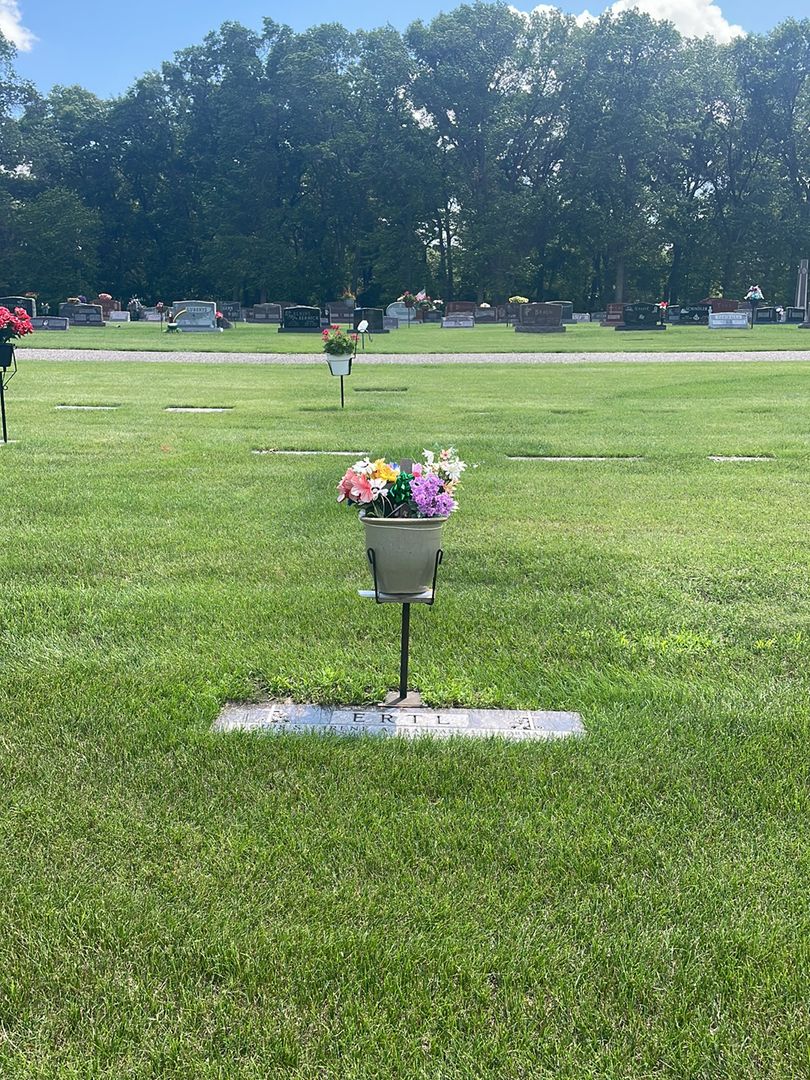 Randall L. Ertl's grave. Photo 1