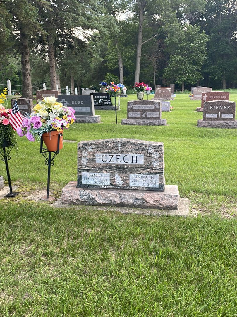 Alvina H. Czech's grave. Photo 1