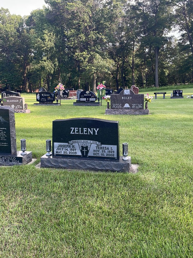 Joseph H. Zeleny's grave. Photo 1