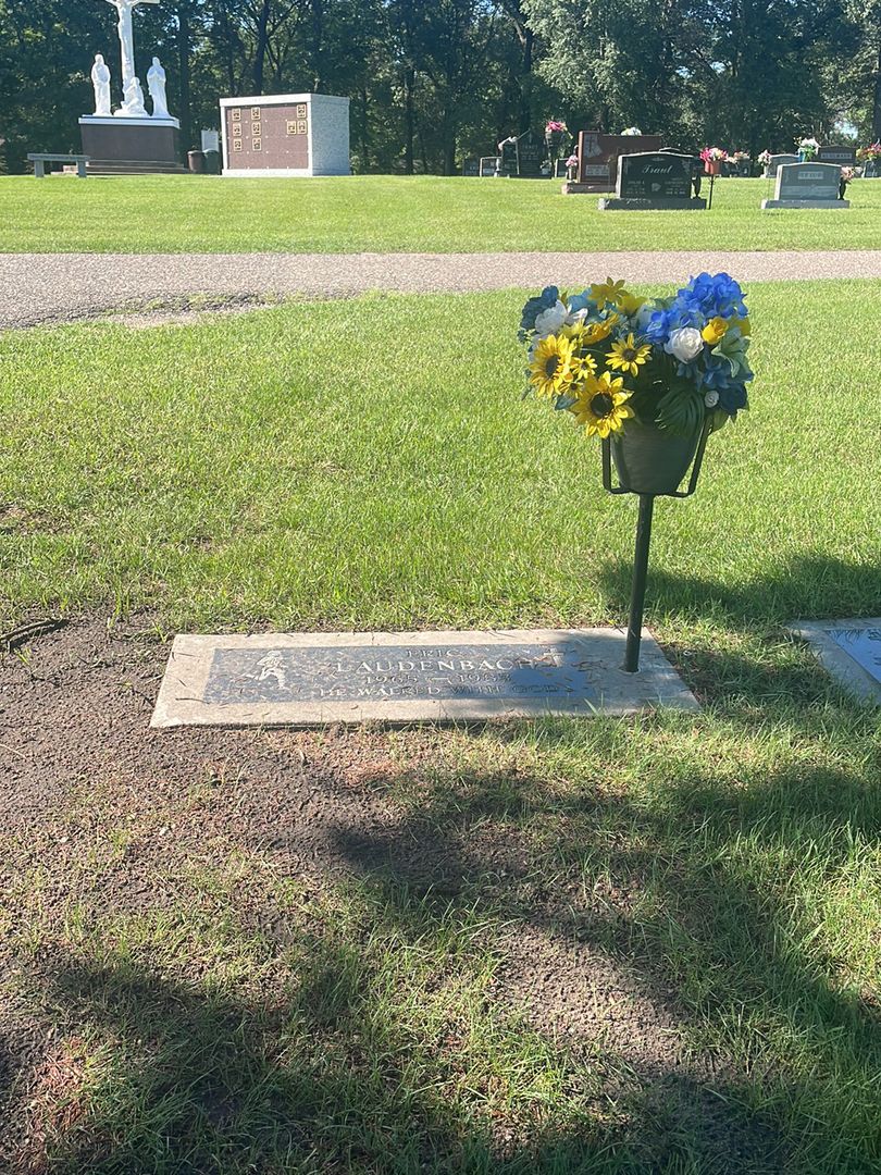 Eric Laudenbach's grave. Photo 1